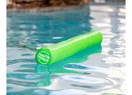 Aqua Lily Not Your Average Pool Noodle - Lime Green